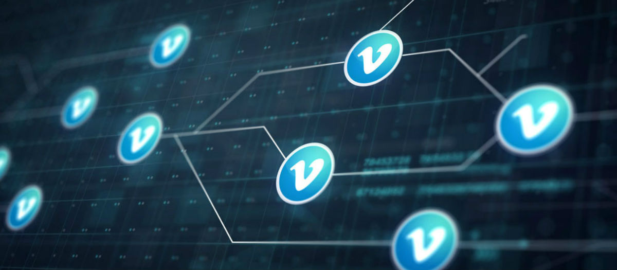 How to Live Stream using Vimeo
